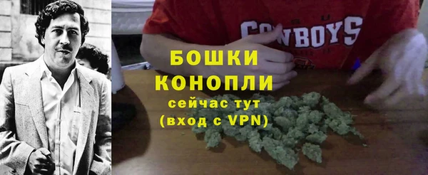 молекула духа Беломорск