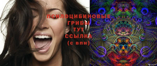 молекула духа Беломорск